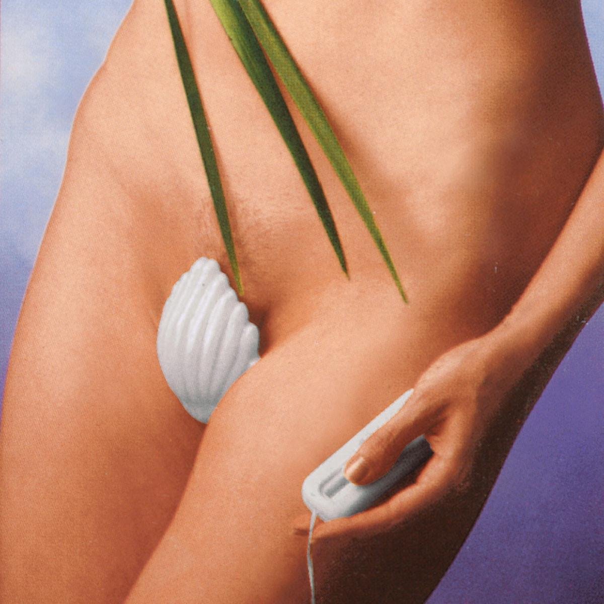 Shell Mini Vibrator