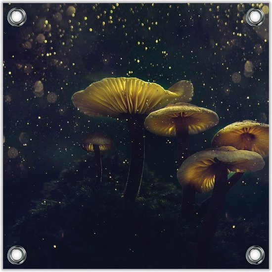 Tuinposter –Lichtgevende Paddenstoelen– 100x100 Foto op Tuinposter (wanddecoratie voor buiten en binnen)