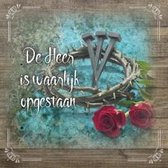 Kaart - Vierkant - 15x15cm - Met envelop - Voor Jou - Liefde, vriendschap - Majestic Ally - 12 stuks