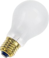10 STUKS SPL GLOEILAMP E27 220-240V 75W MAT