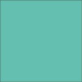 Plakfolie - Oracal - Mint – Mat – 126 cm x 50 m - Meubelfolie - Interieurfolie - Zelfklevend