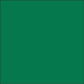 Plakfolie - Oracal - Groen – Mat – 126 cm x 10 m - RAL 6029 - Meubelfolie - Interieurfolie - Zelfklevend
