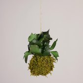Onderhoudsvrije Kokedama - moskleur: Spring Green - afm. 9 cm - klimop