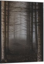 Dibond –Grauw Bos– 30x40cm Foto op Aluminium (Wanddecoratie van metaal)