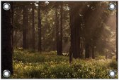 Tuinposter –Bomen in het Bos met Gras– 60x40 Foto op Tuinposter (wanddecoratie voor buiten en binnen)