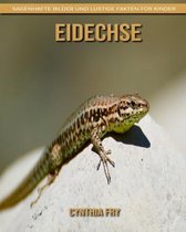 Eidechse