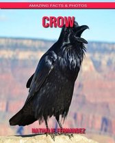 Crow