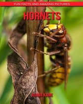 Hornets