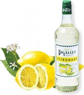 Bigallet Citronade sodamaker limonade siroop - 1000 ml