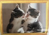 Diamond Painting 50 X 40 - 2 Kittens - Volledige bedekking, Complete set 042