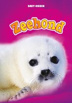 Baby-dieren - Zeehond