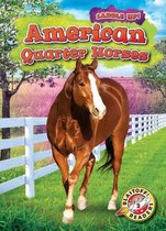 Saddle Up!- American Quarter Horses