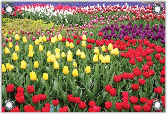 Tuinposter –Tulpen in het Keukenhof Nederland– 60x40 Foto op Tuinposter (wanddecoratie voor buiten en binnen)