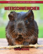 Meerschweinchen