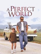 A Perfect World