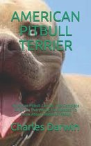 American Pitbull Terrier: American Pitbull Terrier