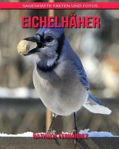 Eichelhaher