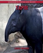 Tapir