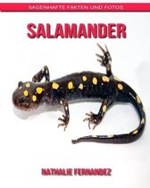 Salamander