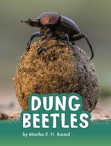 Animals- Dung Beetles