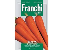 Franchi -  Wortelen, Carota Chantenay 23/37