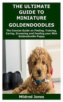 The Ultimate Guide to Miniature Goldendoodles