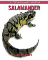 Salamander