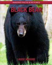 Black Bear