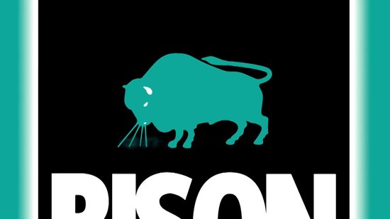 Bison Rubber Seal Textielband - afdichten beschermen en repareren, textieltape 10 cm x 10 m, werkt goed met Bison Rubber Seal, oppervlakken waterdicht maken