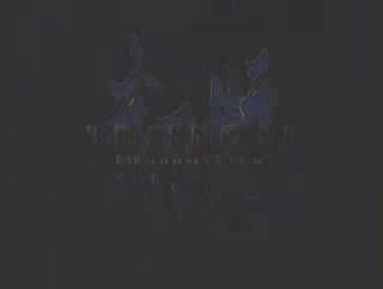 Bujingai: Swordmaster /PS2