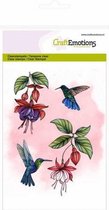 Clearstamps A6 - fuchsia kolibrie