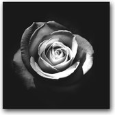 MN Collections - Schilderij - Flower Photography. - Zwart, Wit En Grijs - 50 X 50 Cm