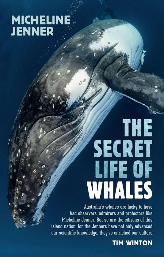 The Secret Life of Whales - cover