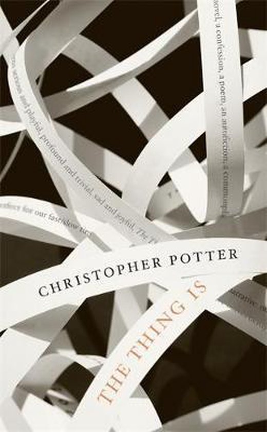 Livre "The Thing Is" de Christopher Potter, avec des bandes de papier blanches portant du texte, partiellement superposées, sur fond sombre.