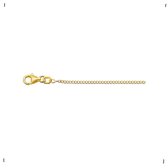 Mesdames Collier - or jaune - Gourmet - 1,4 mm - 50 cm - Hommes - Massief Goud - Poli - Or 3.31gr - 14 carats - 585 Or