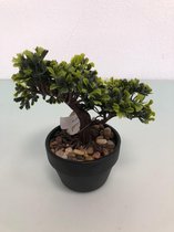 Kunstplant - bonsai