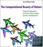 Computational Beauty of Nature