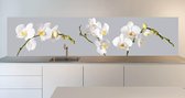 Keuken achterwand -White Orchid-400x70cm