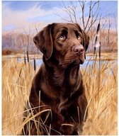 Diamond Painting hond 20x30 cm
