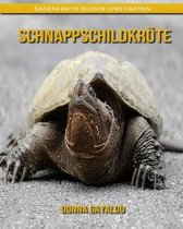 Schnappschildkroete