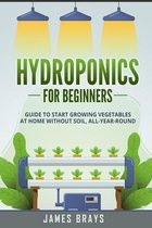 Hydroponics for Beginners