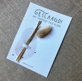geslaagd postkaart met pluim 10x15cm MI145