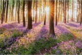 Canvas Schilderij Bloemen in het Bos