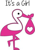 Geboortesticker Ooievaar - Raamstickers | Geboorte stickers | Geboorte versiering Meisje | Geboorte meisje | Topkwaliteit!
