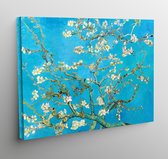 Canvas Amandelbloesem - Vincent van Gogh - 70x50cm