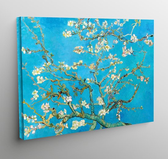 Canvas Amandelbloesem - Vincent Van Gogh - 70X50Cm | Bol.Com