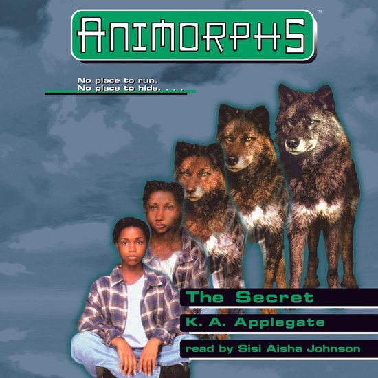 The Secret - cover
