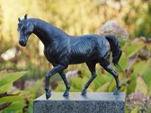 Tuinbeeld - bronzen beeld - Paard - Bronzartes - 24 cm hoog