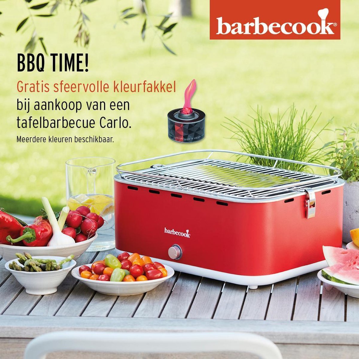 Barbecook Carlo Houtskool BBQ Tafel BBQ Inclu. Draagtas