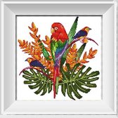 Artstudioclub®  borduurpakketten volwassenen Papagaai  34 × 34cm